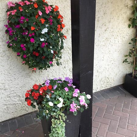 High Hedges Apartment B Оксфорд Экстерьер фото